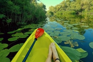 Kajak-Abenteuer: Paddel deinen Weg durch den Skadar See