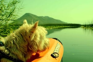 Avventura in kayak: Pagaia attraverso il lago Skadar