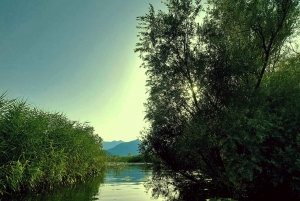 Kajak-eventyr: Padl dig vej gennem Skadar-søen