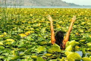 Kajakäventyr: Paddla dig fram genom Skadarsjön