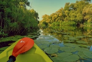 Aventura en Kayak: Rema por el lago Skadar