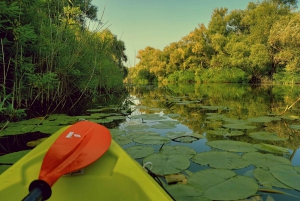 Avventura in kayak: Pagaia attraverso il lago Skadar