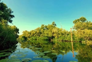 Aventura en Kayak: Rema por el lago Skadar