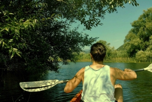 Aventura en Kayak: Rema por el lago Skadar