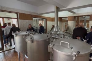 Visita à cervejaria de Korça com degustação de cerveja tradicional
