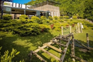 Kosovo: Bear Sanctuary Prishtina, (guided tour & shuttle)