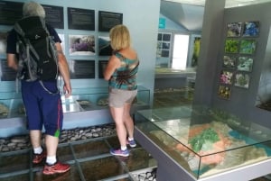 Kotor: Park Narodowy Jeziora Szkoderskiego z degustacją wina