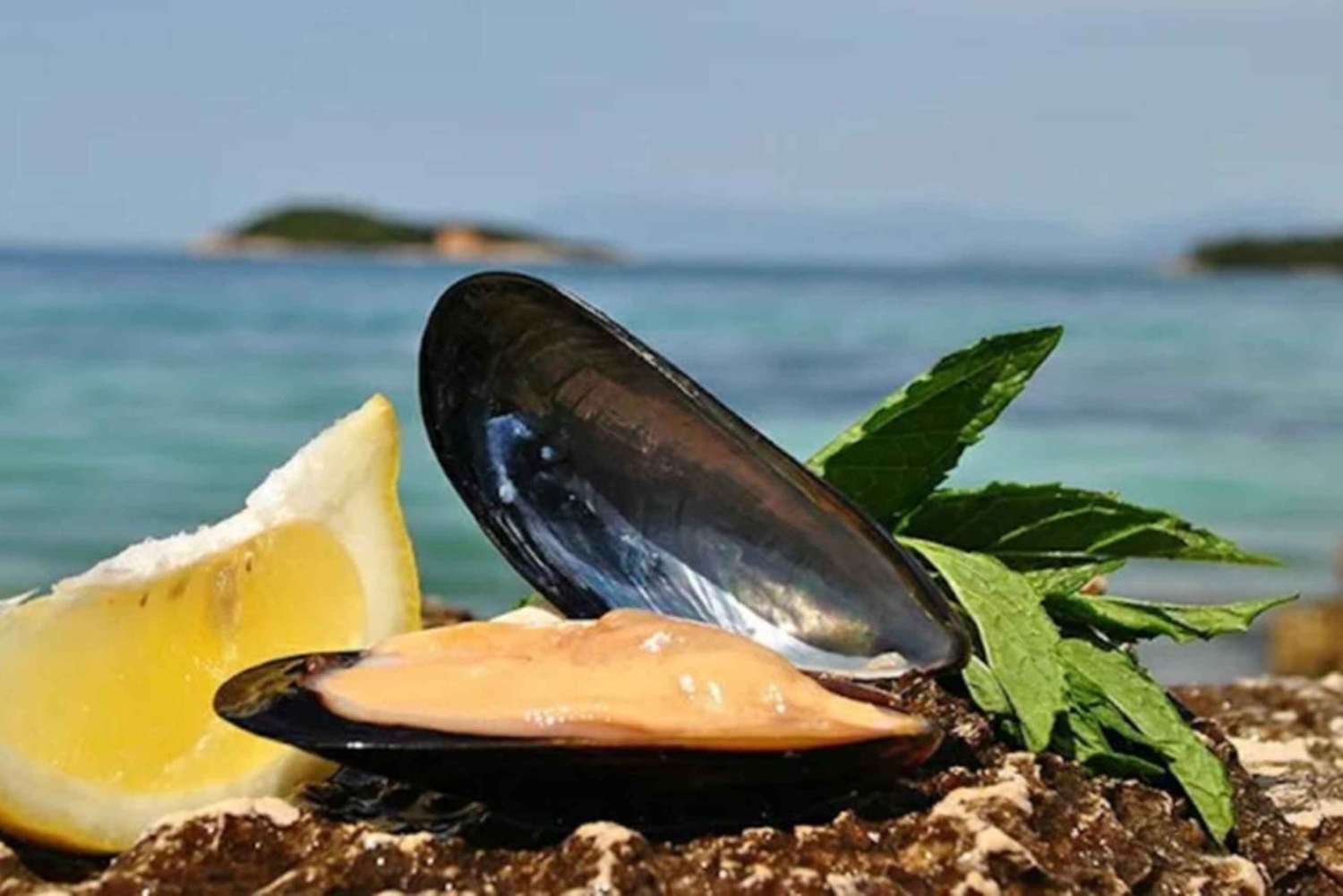 Ksamil sejlads og muslingesmagning