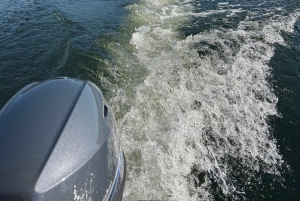 Lake Skadar: Boat Cruise