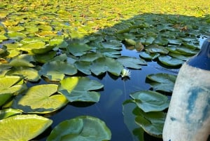 Lake Skadar: Boat Cruise