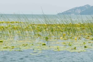 Lake Skadar: Early-morning Birdwatching and Photography Tour