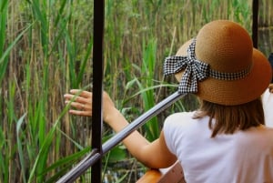 Lake Skadar: Early-morning Birdwatching and Photography Tour