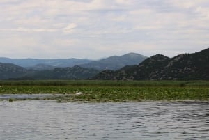 Lake Skadar: Early-morning Birdwatching and Photography Tour