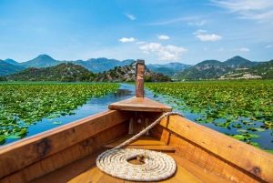 Lake Skadar: from Budva, Kotor, Tivat
