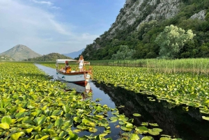 Lago Skadar: da Budva, Kotor e Tivat
