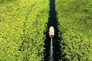 Lake Skadar: Guided Sightseeing Boat Tour with Drinks