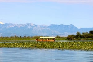 Lake Skadar: Guided Sightseeing Boat Tour with Drinks