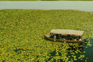Lake Skadar: Guided Sightseeing Boat Tour with Refreshments