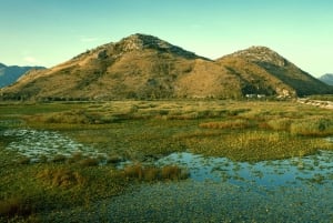 Lake Skadar: Guided Sightseeing Boat Tour with Refreshments