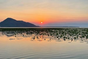 Visite privée avec guide au lever du soleil sur le lac Skadar