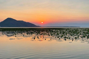 Zonsopgang bij het Skadarmeer Privétour met gids