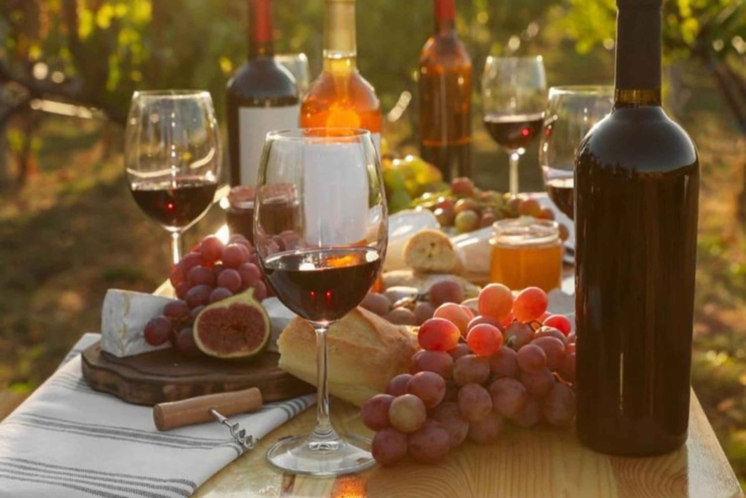 Prova de vinhos Lalez, passeio de vinhos, caiaque e almoço completo