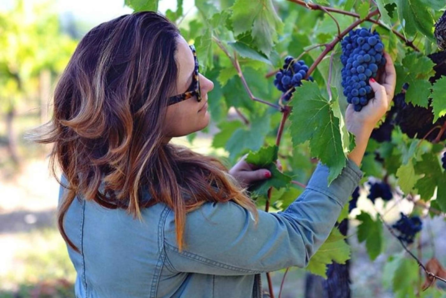 Prova de vinhos Lalez, passeio de vinhos, caiaque e almoço completo