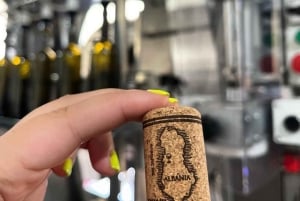 Prova de vinhos Lalez, passeio de vinhos, caiaque e almoço completo