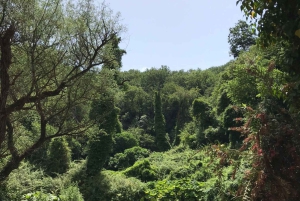 レクゥルシ城-ブルーアイ-クサミル-ブトリント