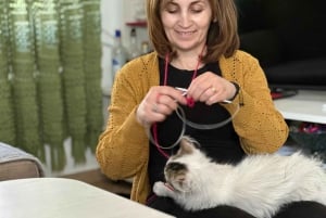 Libohova : Cours de tricot avec gâteau et thé
