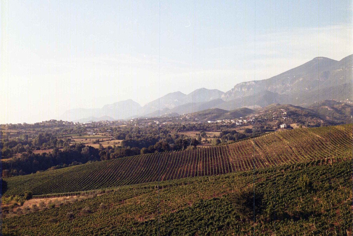 ルンドラ：ワインの試飲付きルンドラ ワイナリー ガイド付きツアー