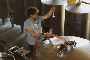 ルンドラ：ワインの試飲付きルンドラ ワイナリー ガイド付きツアー