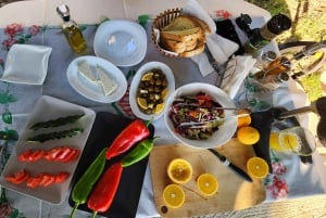 Mandarina Farming Tour with Picnic in Albania