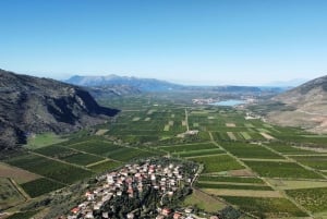 Mandarina Farming Tour with Picnic in Albania