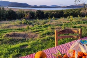 Mandarina Farming Tour with Picnic in Albania