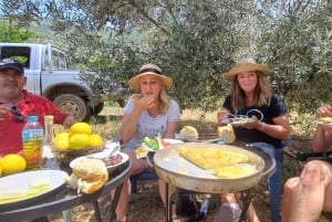 Mandarina Farming Tour with Picnic in Albania