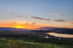 Mandarina Farming Tour with Picnic in Albania