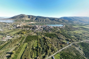 Mandarina Farming Tour with Picnic in Albania