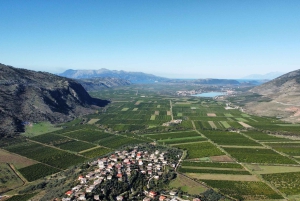 Mandarina Farming Tour with Picnic in Albania
