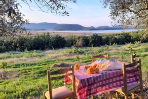 Mandarina Farming Tour with Picnic in Albania
