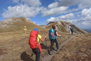 Mavrovi Anovi: Guided Full-Day Hike to Golem Korab Peak