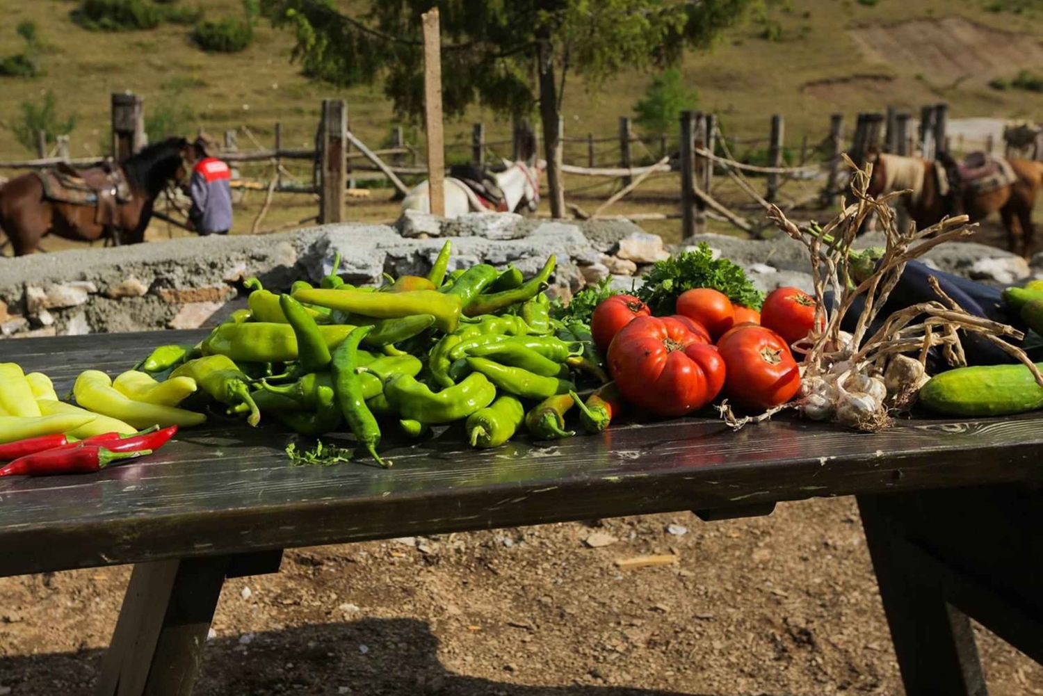 スコピエのマヴロヴォ修道院、ガリチニク修道院、ヨヴァン・ビゴルスキー修道院