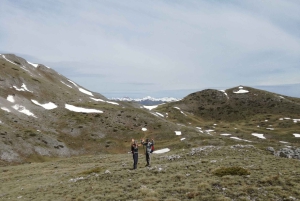 スコピエのマヴロヴォ修道院、ガリチニク修道院、ヨヴァン・ビゴルスキー修道院