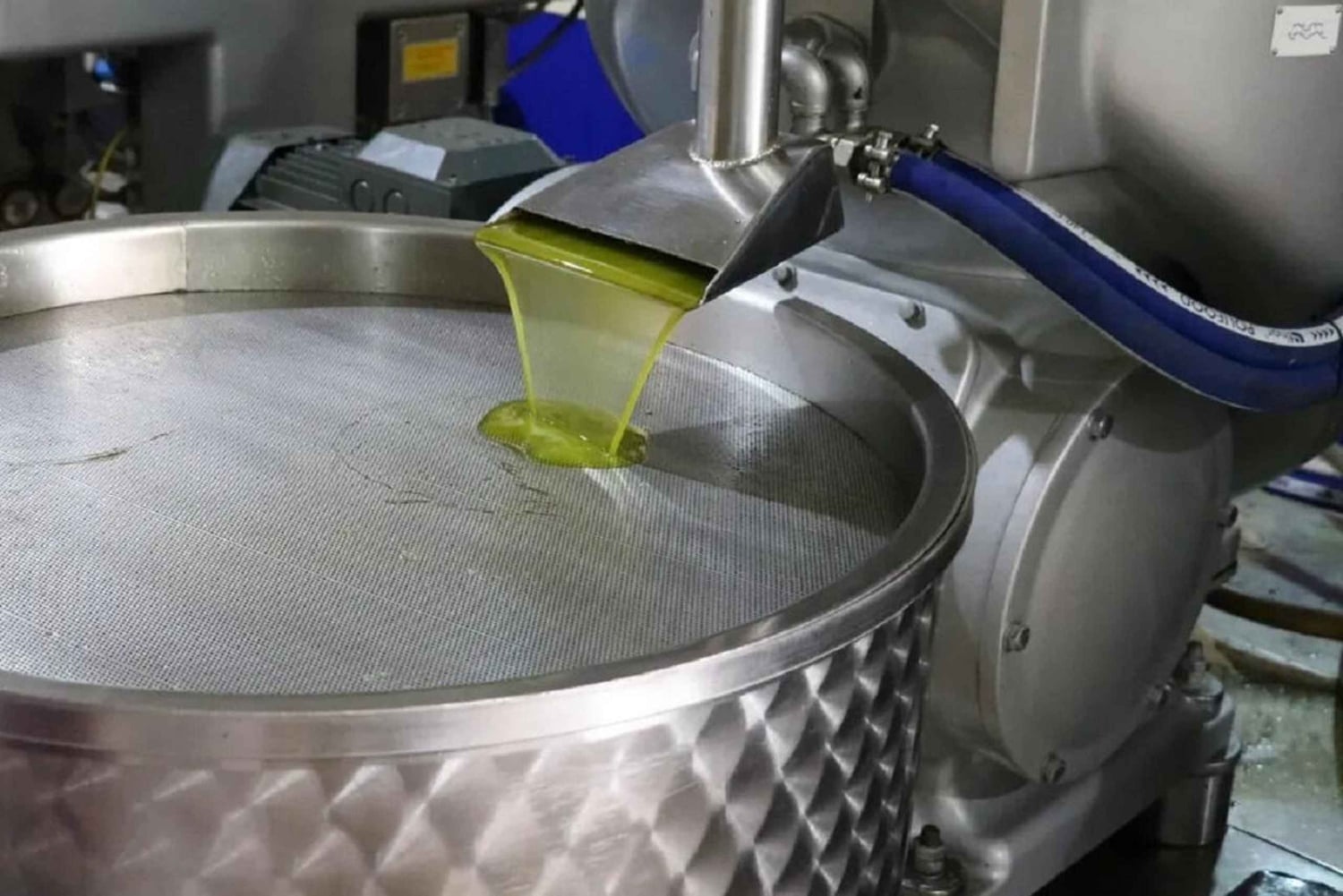 Visite et dégustation d'huile d'olive Musai