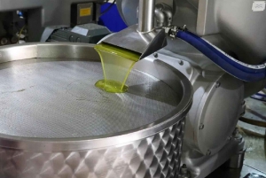 Visite et dégustation d'huile d'olive Musai