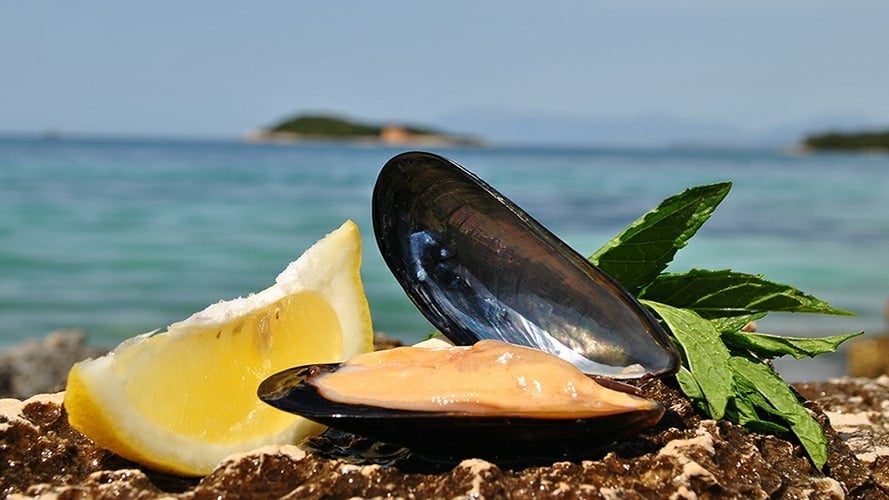 Mussel Sailing Tour with Food and Drink Tasting in Albania