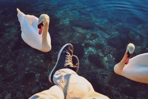 Tirana/Durres : Day Trip to Ohrid , St Naum, North Macedonia