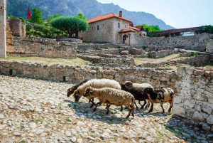North & South Albania: A 5 Day Tour