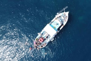 Costa noreste de Corfú: natación, snorkel con almuerzo y bebidas