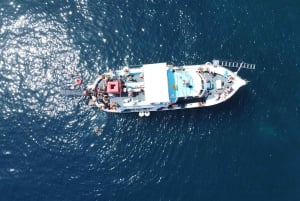 Costa noreste de Corfú: natación, snorkel con almuerzo y bebidas